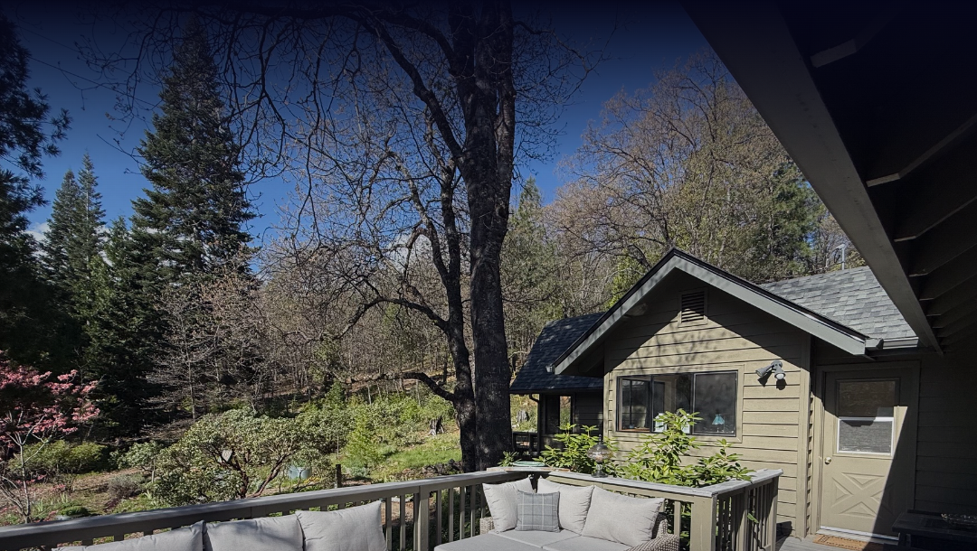 The sanctuary home among the pines at New Dawn Sanctuary